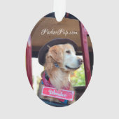 Weihnachtshund - Wunder Ornament (Rückseite)