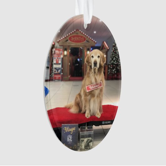 Weihnachtshund - Wunder Ornament (Vorderseite)