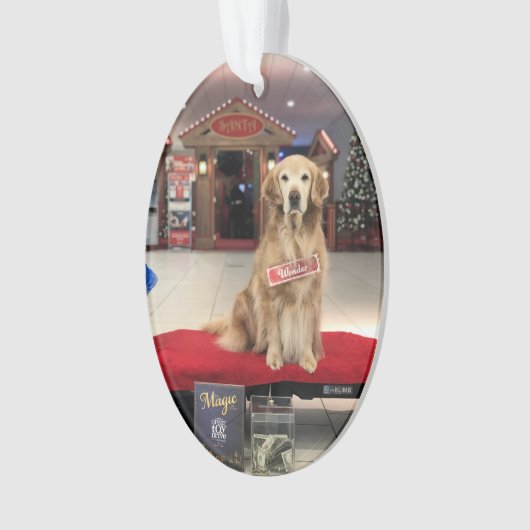 Weihnachtshund - Wunder Ornament (Vorderseite)
