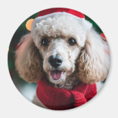 Weihnachtshunde Foto Template Round Kühlschrank Magnet (Vorne)