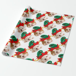 Weihnachtshunde in Elfenhüten Geschenkpapier