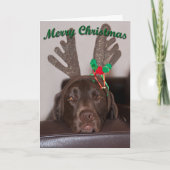 Weihnachtshunde mit Glitzer-Antlern Feiertagskarte (Vorderseite)