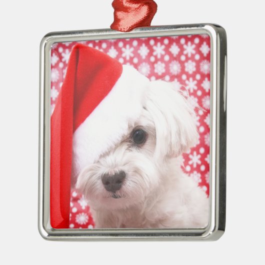 Weihnachtshundeverzierung Silbernes Ornament (Links)