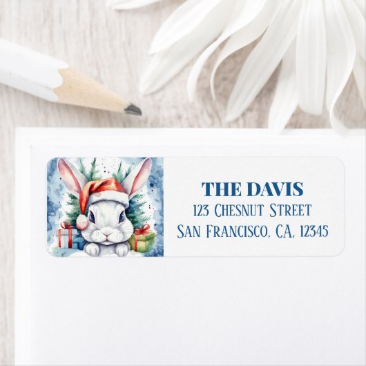 Weihnachtshut (Insitu)