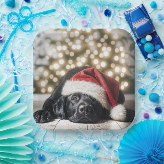 Weihnachtshut auf einem schwarzen Labrador-Retriev Pappteller (Party)