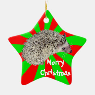 WeihnachtsIgels-Verzierung Keramikornament