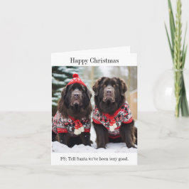 Weihnachtsjumpers-Karte für Hunde in Neufundland Karte