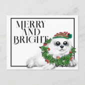 Weihnachtsjunge, festliches arktisches Siegel Postkarte (Vorderseite)