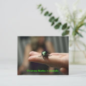 Weihnachtskäfer Feiertagspostkarte (Stehend Vorderseite)