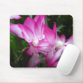 Weihnachtskaktus Blume Mousepad (Mit Mouse)