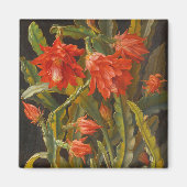 Weihnachtskaktus | Christliches Möllback Magnet (Vorne)