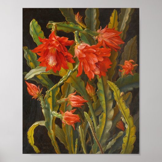 Weihnachtskaktus | Christliches Möllback Poster (Vorne)