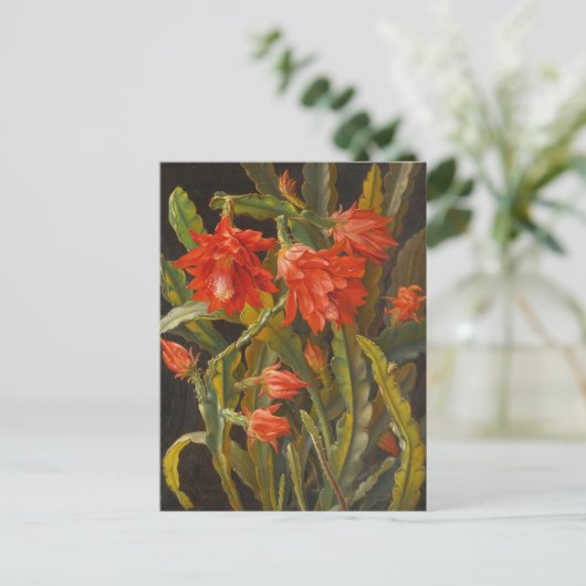 Weihnachtskaktus | Christliches Möllback Postkarte (Stehend Vorderseite)