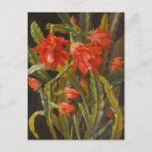 Weihnachtskaktus | Christliches Möllback Postkarte (Vorderseite)