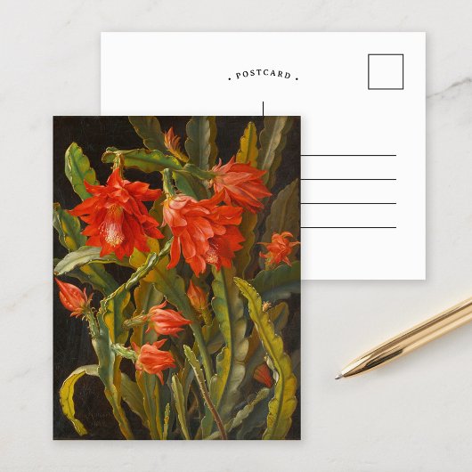 Weihnachtskaktus | Christliches Möllback Postkarte