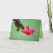 Weihnachtskaktus frohe Weihnachten (Rückseite)