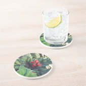 Weihnachtskaktus Getränkeuntersetzer (Seite)