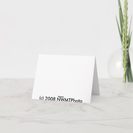 Weihnachtskaktus notecard feiertagskarte (Rückseite)