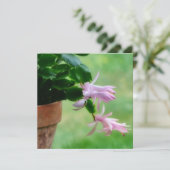 Weihnachtskaktus Orchid Blume Art Note Card Dankeskarte (Stehend Vorderseite)