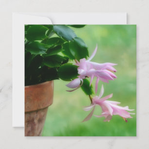 Weihnachtskaktus Orchid Blume Art Note Card Dankeskarte
