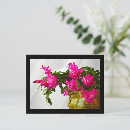 Weihnachtskaktus schließen feiertagspostkarte (Stehend Vorderseite)