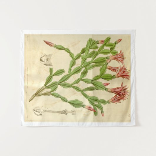 Weihnachtskaktus-Tapisserie Wandteppich (Vorderseite (Horizontal))