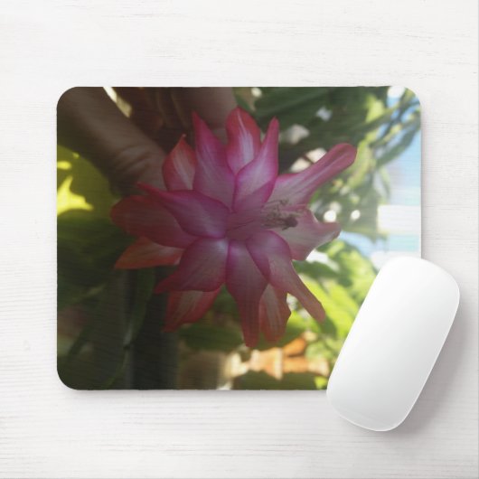 Weihnachtskaktusepad Mousepad (Mit Mouse)