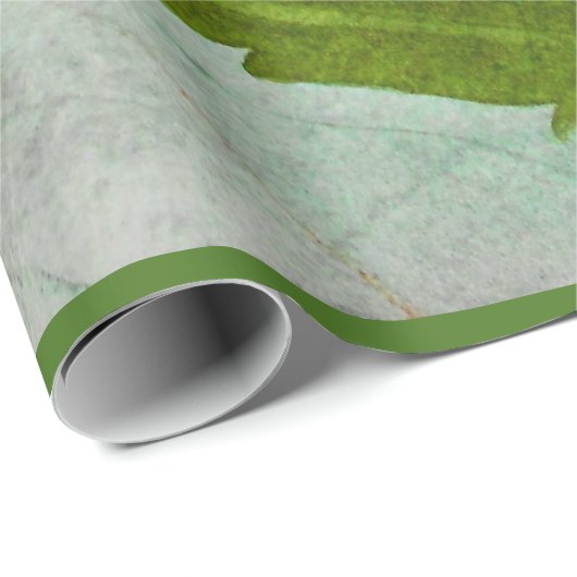 Weihnachtskaktuss-Aquarell Geschenkpapier (Rolleneckpunkt)