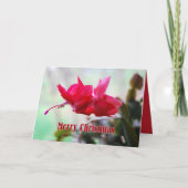 Weihnachtskaktuss-frohe Weihnachten (Vorderseite)