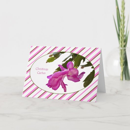 Weihnachtskaktuss-Karte Feiertagskarte (Vorderseite)