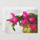 Weihnachtskaktuss-Nahaufnahme-Fotografie-Einladung Einladung (Vorderseite)