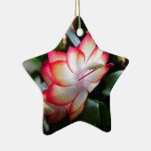 Weihnachtskaktuss-'Samba Brazil Keramik Ornament (Rechts)