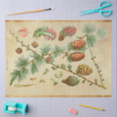 Weihnachtskalender Seidenpapier (Basteln)