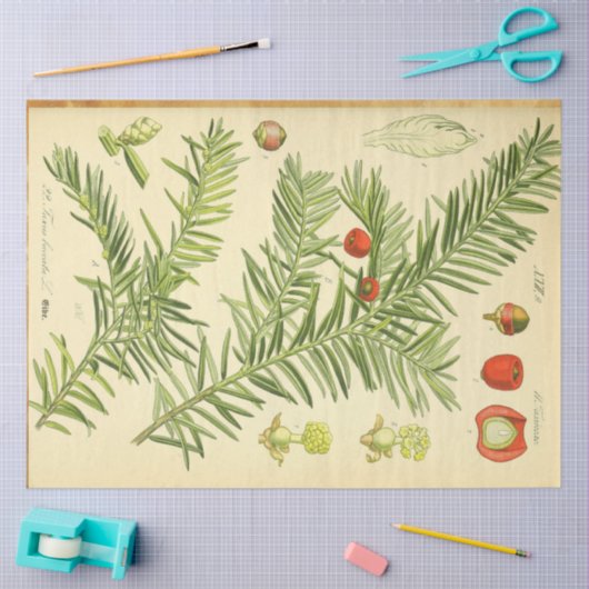 Weihnachtskalender Seidenpapier (Basteln)