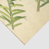 Weihnachtskalender Seidenpapier (Ausschnitt)