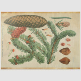 Weihnachtskalender Seidenpapier