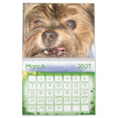 Weihnachtskalender unsere Familie Kalender (Mär 2027)