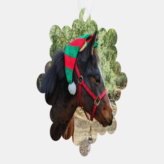 Weihnachtskalte Ornament Karte (Rechts)