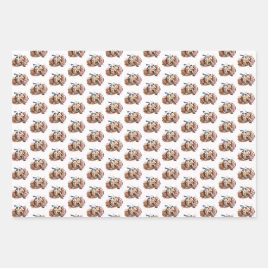 Weihnachtskamel Geschenkpapier Set (Vorderseite 2)