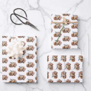 Weihnachtskamel Geschenkpapier Set