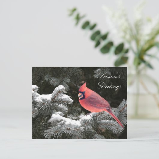 WeihnachtsKardinal Feiertagspostkarte (Stehend Vorderseite)