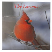 WeihnachtsKardinal Fliese (Vorderseite)