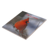 WeihnachtsKardinal Fliese (Seite)