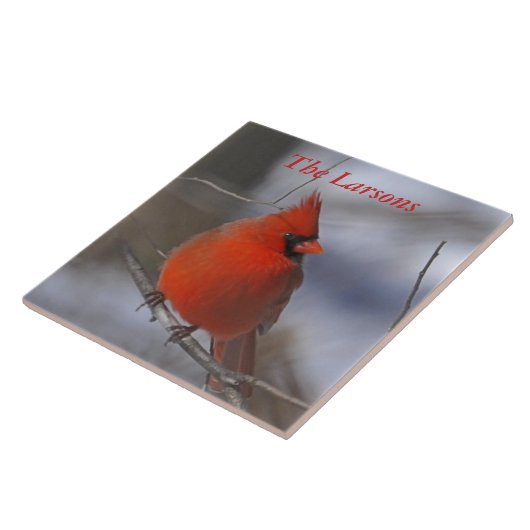 WeihnachtsKardinal Fliese (Seite)