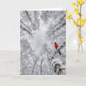 Weihnachtskardinal in einem winterlichen weißen Bi Karte (Gelbe Blume)