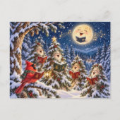 Weihnachtskardinal und Winterbaum-Chor Postkarte (Vorderseite)