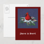 WEIHNACHTSKardinal: VOGEL: KUNST: SCHNEE Feiertagspostkarte (Vorne/Hinten)