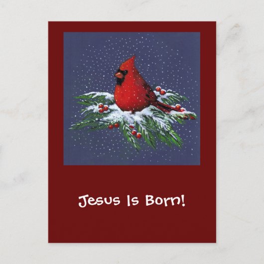 WEIHNACHTSKardinal: VOGEL: KUNST: SCHNEE Feiertagspostkarte (Vorderseite)