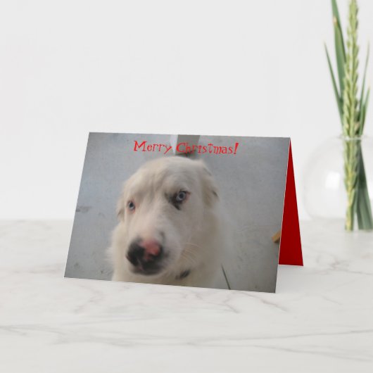 Weihnachtskarte 07 feiertagskarte (Vorderseite)