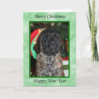 Weihnachtskarte 1 feiertagskarte